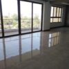 Gallery Thumbnail 12